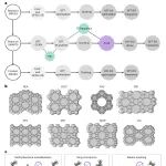 研究进展：AI+分子筛，催化过渡态PoTS | Nature Computational Science