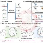四川大学董召文/曾小明团队JACS：锗/锡变价催化体系实现C(sp3)\u2212F键的选择性活化与转化