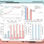 【Nat. Commun.】成都大学/太原理工/大化所Nature子刊：界面驱动反应诱导钴基纳米簇重构调控 CO\u2082加氢选择性