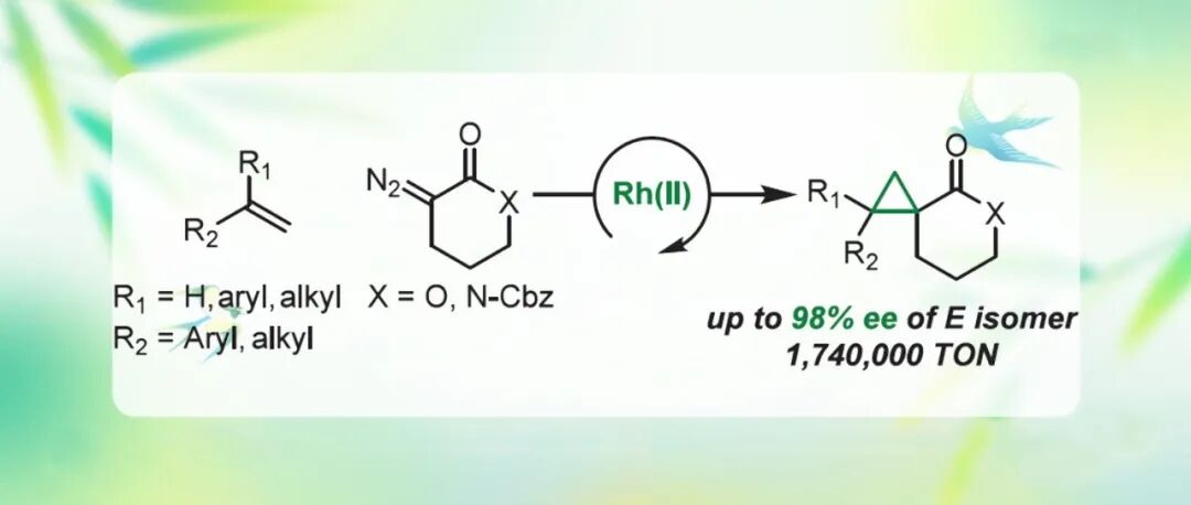 【JACS】美国埃默里大学Davies团队：仅需极低催化剂负载量，即可实现螺环内酯与螺环内酰胺的对映选择性合成