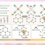 【Nat. Commun.】南大袁帅/左景林/南师大张幸：给MOF装上一扇“分子门”—突破孔径限制实现大分子酶封装