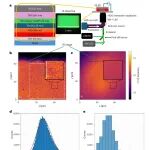 研究进展：电致发光-有机发光二极管OLED | Nature Photonics