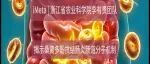 iMeta短视频 | 浙江省农业科学院李有贵团队揭示桑黄多酚抗结肠炎肠道分子机制