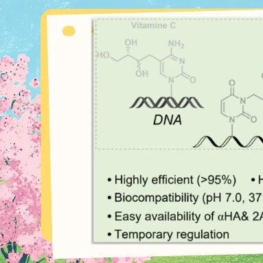 【JACS】华中科大王锐团队：HAAC连接反应赋能糖基化修饰蛋白解码