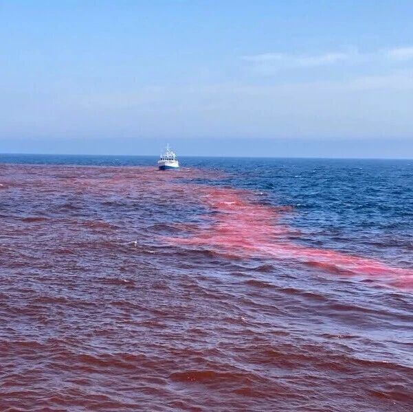为了中和正在酸化的海洋，他们往大海里倒了50吨氢氧化钠
