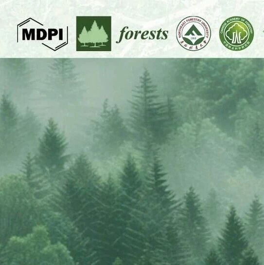 2026国际森林日：森林多价值评估与治理创新 | MDPI Seminar
