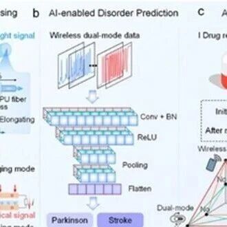 Adv Sci：迈向智能诊断！张弛/王中林等团队开发AI驱动、自供能双模可穿戴传感器，实现帕金森与脑卒中的高精度鉴别与康复评估