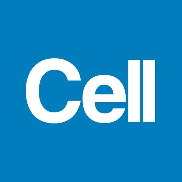 Cell：红细胞膜递送线粒体！