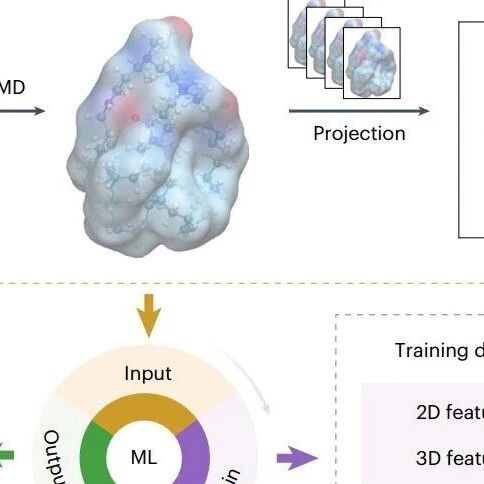 Nat Biomed Eng | 智能又精准，国家纳米科学中心林耀新等利用人工智能指导LNP设计实现mRNA体内精准靶向递送