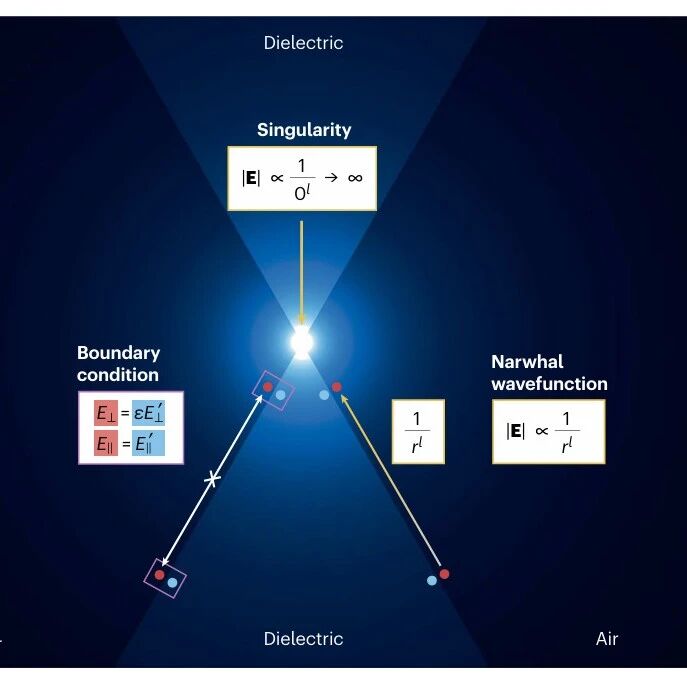 研究进展：北京大学马仁敏团队，奇点光子学 | Nature Reviews Physics