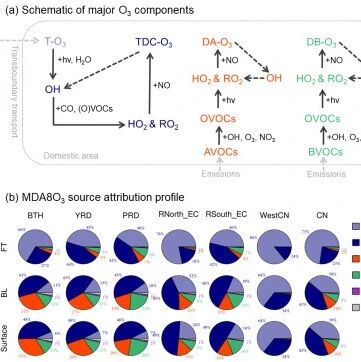 南方科技大学傅宗玫课题组npj Clim. Atmos. Sci.：跨境臭氧与境内前体物的复杂相互作用，重塑我国地表臭氧污染