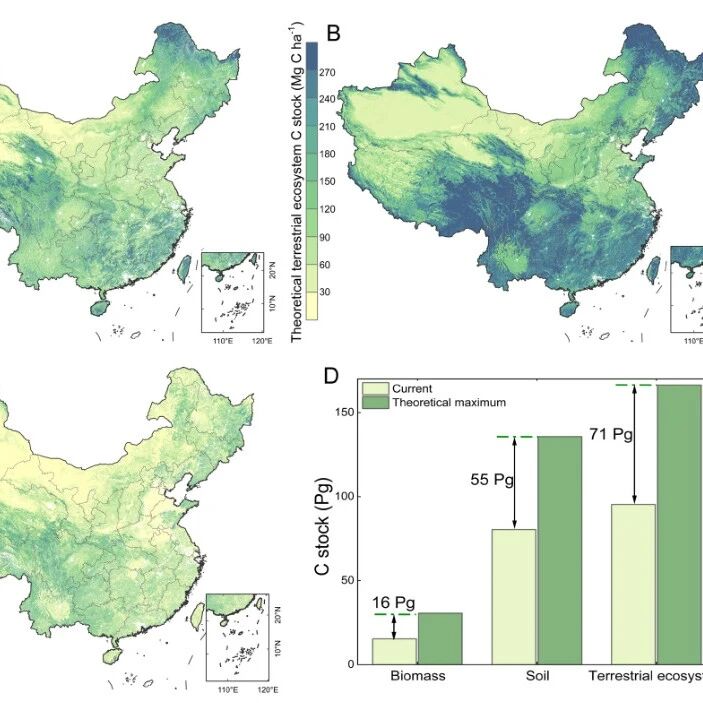 邓蕾课题组《Global Change Biology》最新成果！首次揭示中国陆地生态系统的理论固碳潜力