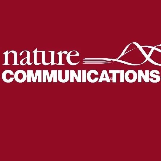 天津工业大学沈浏鎏/张贵荣/梅东海Nature Communications：像爆米花一样超快合成二维碳材料！