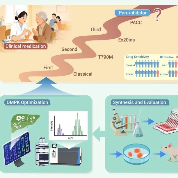 The Innovation | 新型EGFR抑制剂设计开发突破非小细胞肺癌罕见突变治疗瓶颈