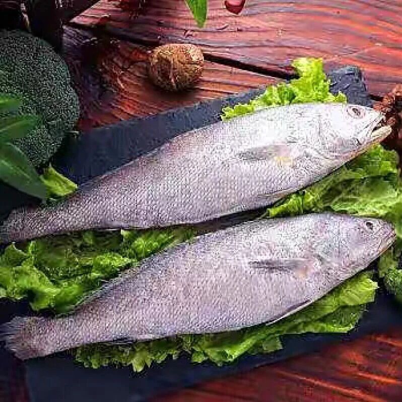 文献分享 | Food Chemistry:基于代谢组学探究红曲霉液态发酵鮸鱼（Miichthys miiuy）鱼糜的风味与代谢