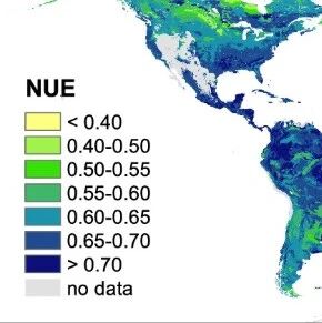 高德才、崔勇兴在《Nature Communications》发文揭示土壤微生物氮磷利用效率的全球格局与驱动机制