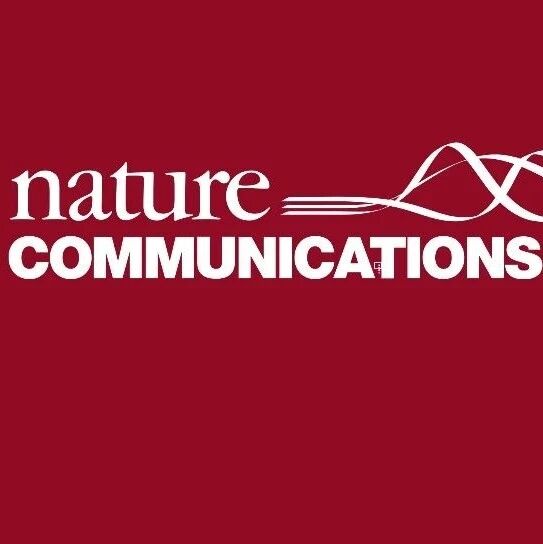 同济大学Nat. Commun.：磷激活羧基小分子策略设计高性能铁离子电池