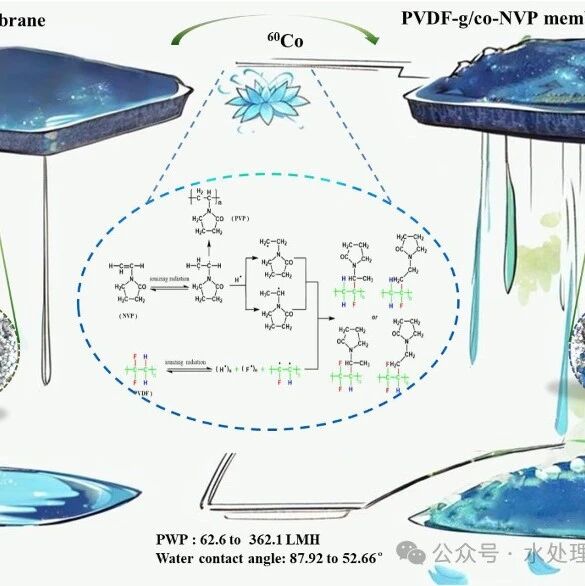 文献速递 | 苏州科技大学林小锋教授团队CEJ: 基于γ射线辐照制备PVDF膜及其成膜机理和水处理性能研究