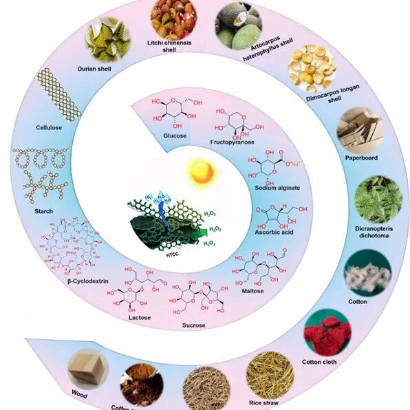 昆明学院杨烨鹏/陶娆Renewable and Sustainable Energy Reviews：生物质水热碳光催化合成H2O2进展与挑战