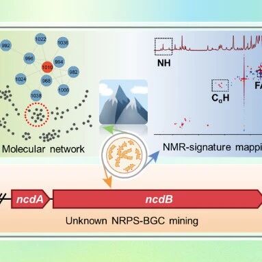 【Org. Lett.】中国海洋大学李花月课题组：极端环境微生物天然产物的加速挖掘——一种整合多组学的方法捕获抗病毒脂肽