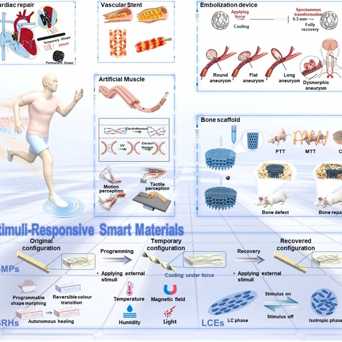 哈工大冷劲松团队 Mat. Sci. Eng. R：刺激响应智能材料生物医学应用综述