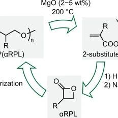 四川大学朱剑波教授团队 JACS：通过立体选择性开环聚合制备高性能α-取代聚羟基脂肪酸酯