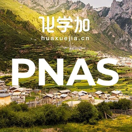 黄辉课题组PNAS：高选择性的镍电催化交叉亲电C(sp²)‒C(sp²)偶联