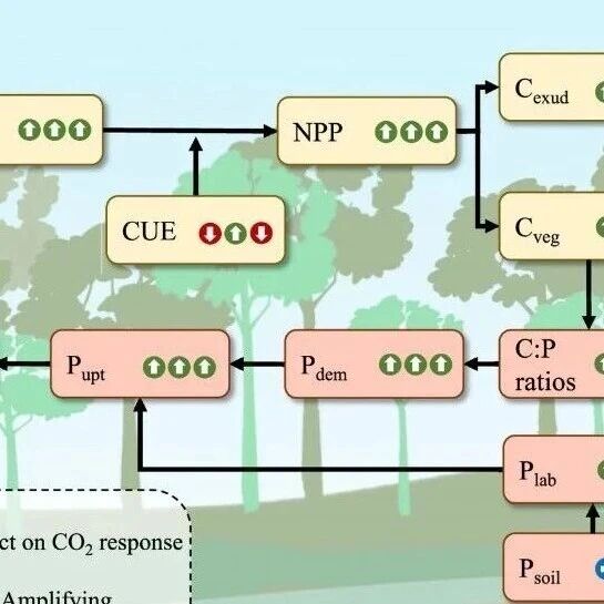 浙江大学蒋明凯团队在《CEE》《PNAS》 和 《JPE》连发三篇成果！探索二氧化碳施肥效应的边界与条件