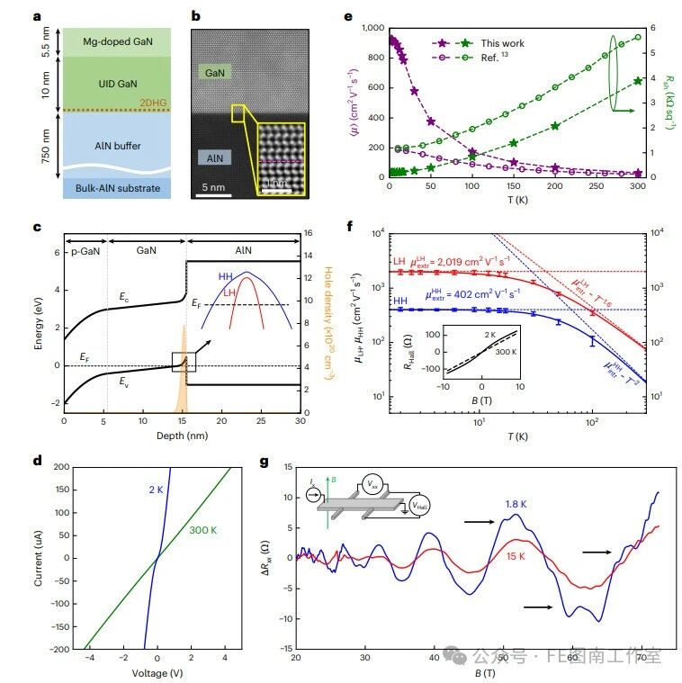 研究前沿：邢慧丽，氮化镓GaN-宽禁带半导体 | Nature Electronics