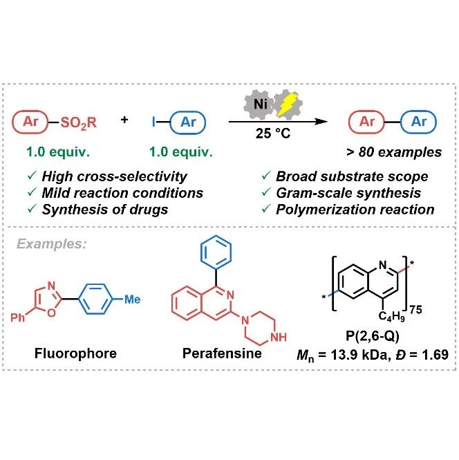 天大/国科大黄辉教授课题组 PNAS：高选择性的镍电催化交叉亲电C(sp²)‒C(sp²)偶联