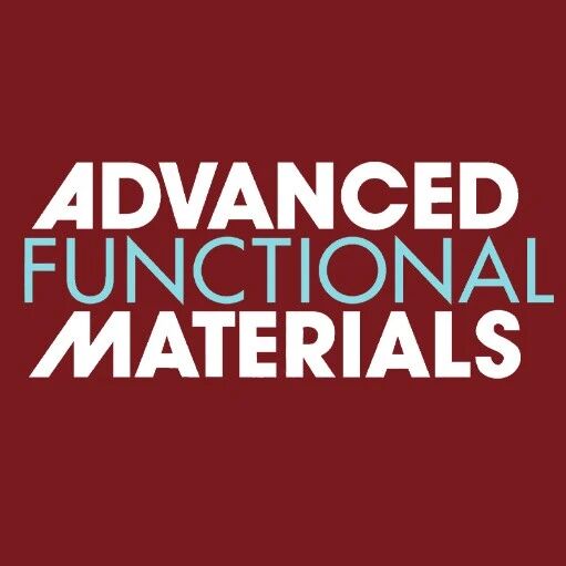 中山大学谢方艳/卢侠Adv Funct Mater：紫外光电子能谱（UPS）在锂电池中的应用综述