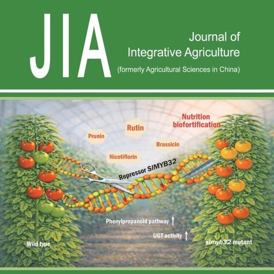 JIA 2026-4期 发布