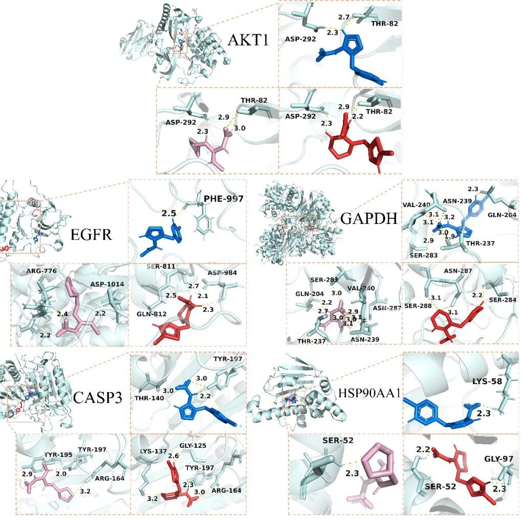 中山大学陆少游教授团队EST｜流行病学与网络毒理学联合揭示新烟碱类杀虫剂的致心律失常风险