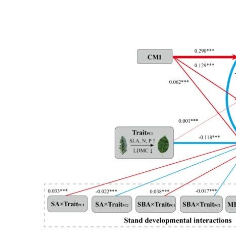Journal of Ecology| 功能性状与单株生长的关系随林分发育而减弱，随温度升高而增强
