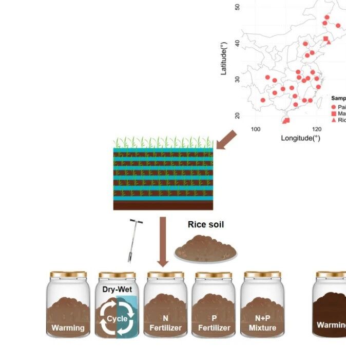 Global Change Biology| 核心菌群通过增强土壤微生物对环境变化的抵抗力来维持生态系统多样性