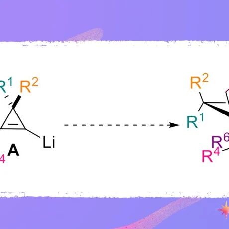 【JACS】以色列理工学院Ilan Marek：基于偕-双金属化环丙烷的多取代骈苯立体控制合成