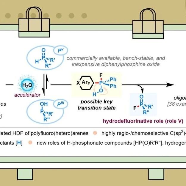 南京工业大学：二苯基氧膦介导的多氟（杂）芳烃选择性脱氟氢化
