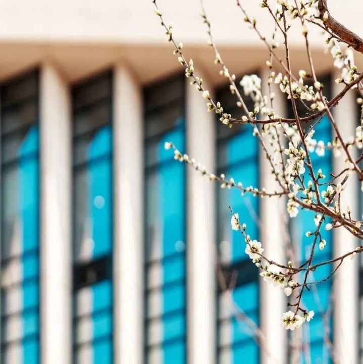 研究前沿：北京航空航天大学赵巍胜团队，界面超导KTaO₃ (111)-非线性霍尔效应 | Advanced Materials