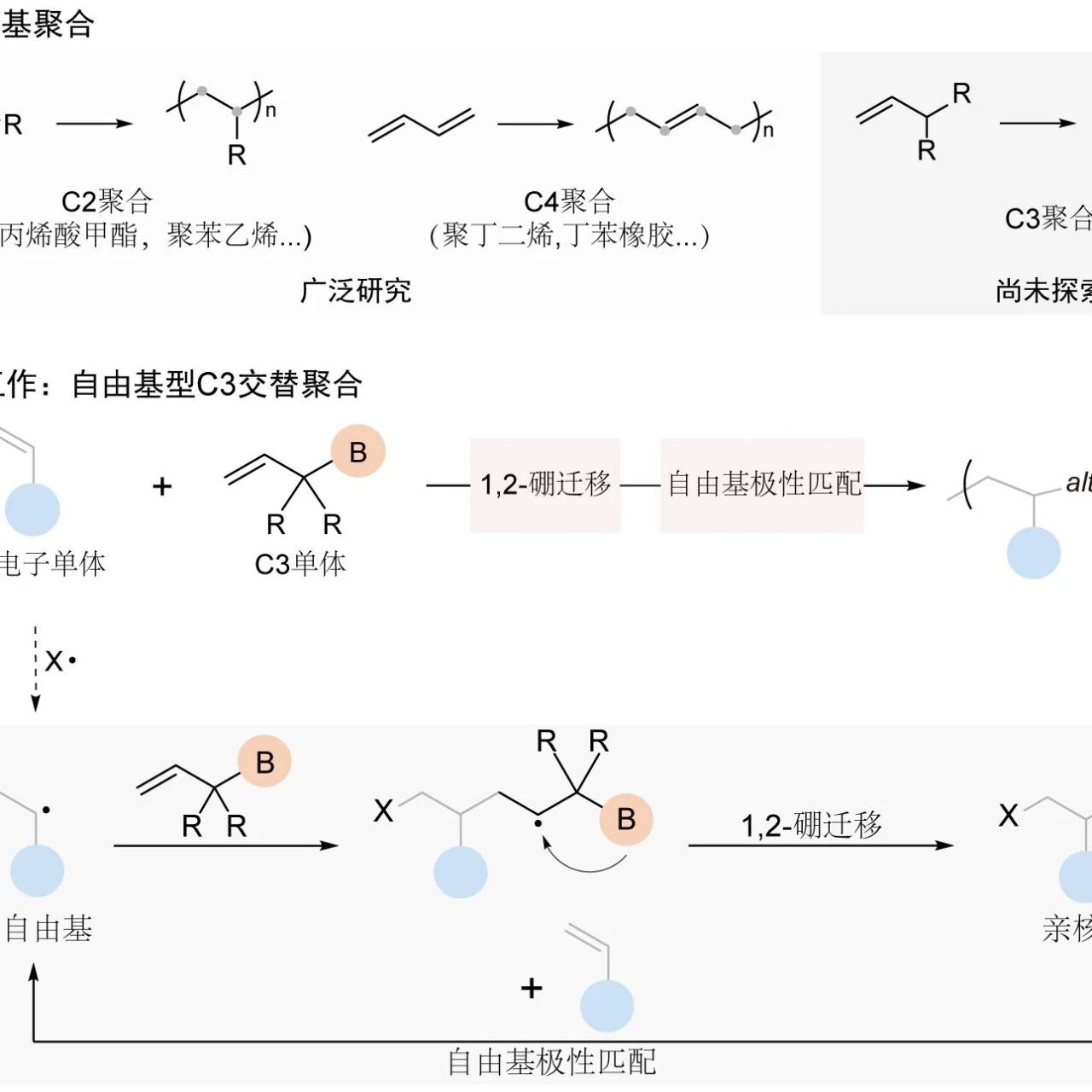 复旦大学潘翔城教授 Nat. Synth.：1,2–硼迁移驱动的自由基C3交替聚合