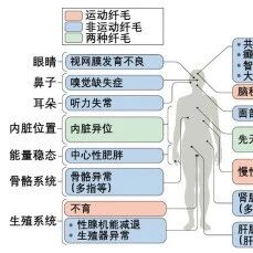 【科学普及】纤毛——古老而多能的细胞器