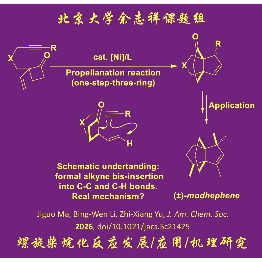 机理挑战题答案：螺旋桨烷化反应是如何进行的？