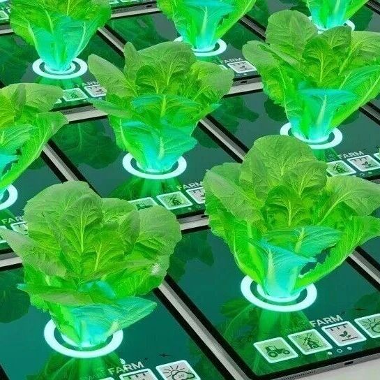 新型高光谱表型技术助力新基因挖掘