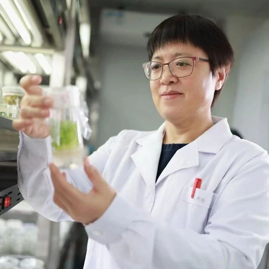 祝贺！高彩霞团队