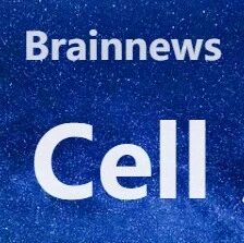 Cell：柳昀哲团队揭秘大脑如何将零散知识编织成“世界地图”