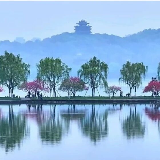 浙江大学顾臻教授团队 Nature：药械组合的智能化、小巧化
