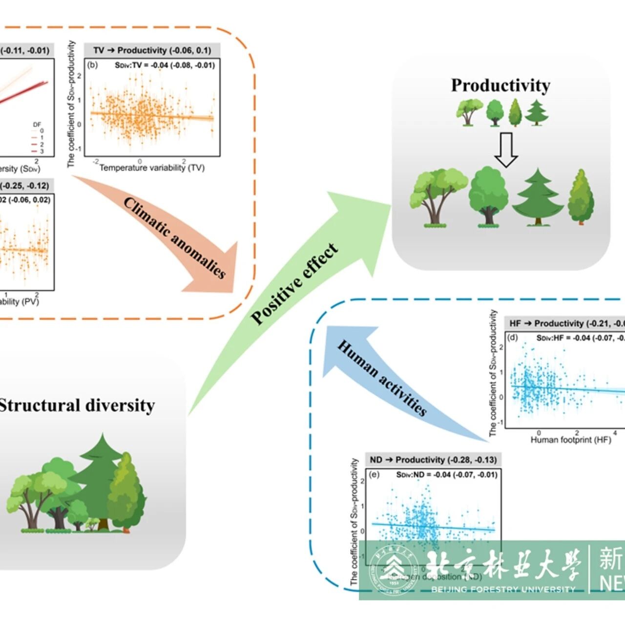 Journal of Ecology | 北京林业大学科研团队在森林结构多样性与生产力关系研究领域取得新进展