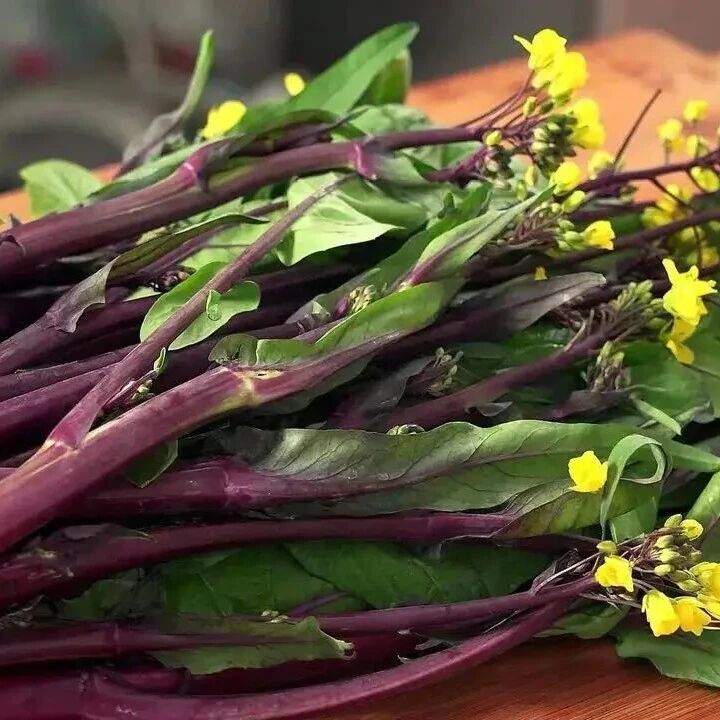 研究成果|菜薹风味密码大揭秘：晚熟品种为何更香更甜？