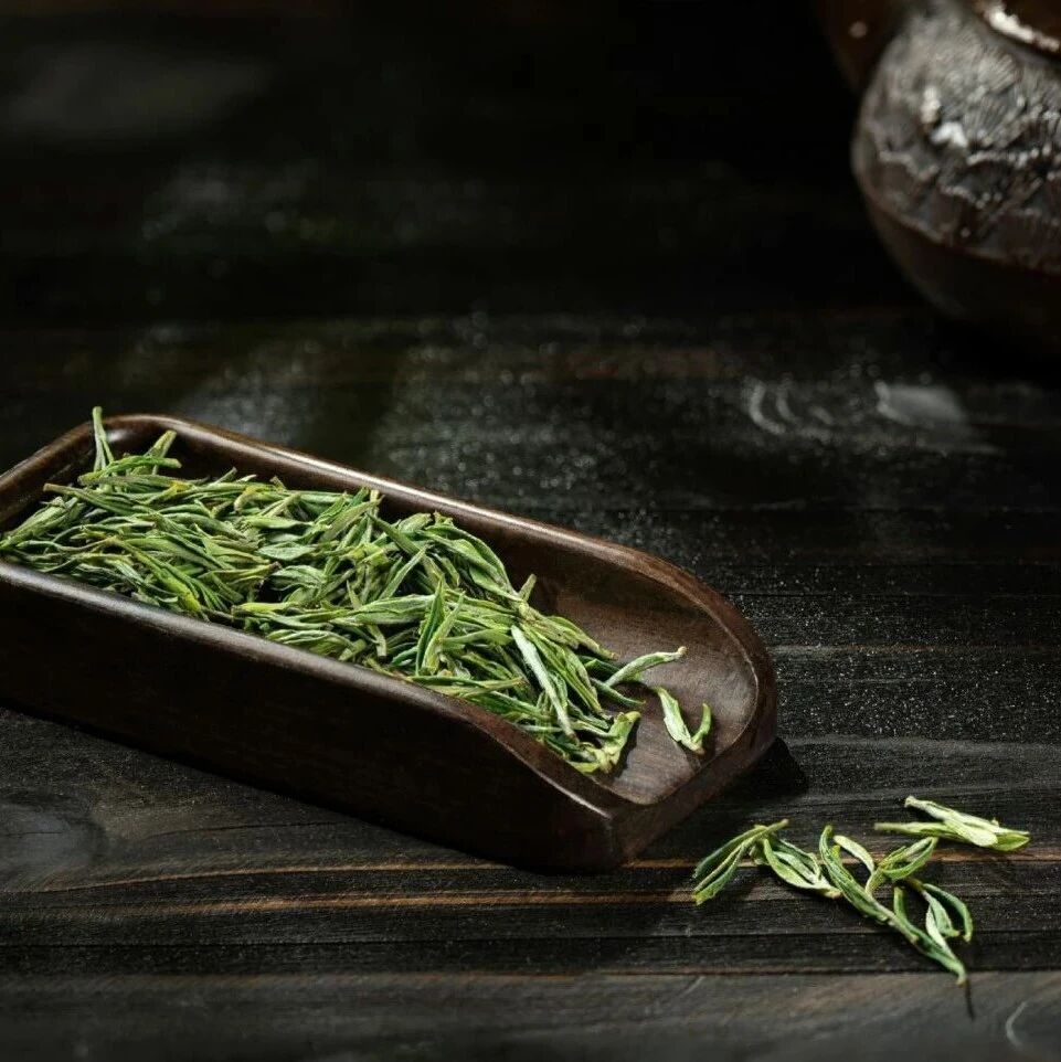 研究成果|叶片嫩度对川茶2号绿茶香气与滋味品质的影响：感官评价与化学分析的综合研究