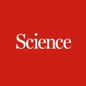 水，发了一篇Science！