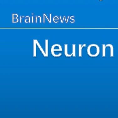 Neuron：星形胶质细胞调控焦虑的重要作用机制